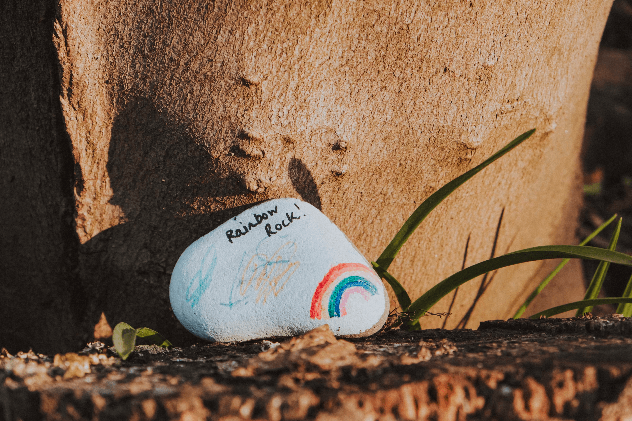 Rock painted by kids leaning against tree